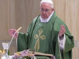 Papa Francisco. 'La tibieza espiritual transforma nuestra vida en un cementerio'