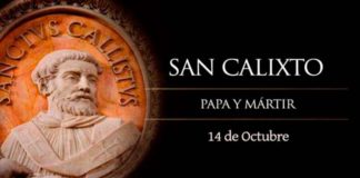 San Calixto I, Papa y Mártir. Lunes 14 de octubre de 2019