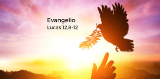 Evangelio del día Y Lecturas de hoy, sábado, 19 de octubre de 2019