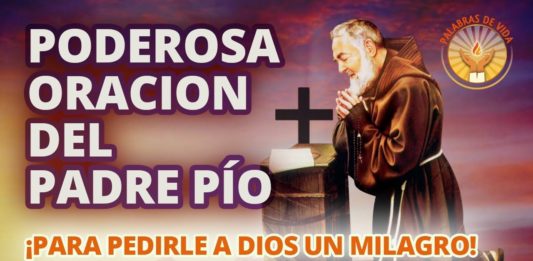 ORACIÓN AL PADRE PÍO POR LOS ENFERMOS Santo padre Pío, ya que durante tu vida terrena mostraste un gran amor por los enfermos y afligidos, escucha nuestros ruegos e intercede ante el Padre misericordioso por los que sufren. Asiste desde el cielo a todos los enfermos del mundo; sostiene a quienes han perdido toda esperanza de curación; consuela a quienes gritan o lloran por sus tremendos dolores; protege a quienes no pueden atenderse o medicarse por falta de recursos materiales o ignorancia. Alienta a quienes no pueden reposar porque deben trabajar; vigila a quienes buscan en la cama una posición menos dolorosa; acompaña a quienes pasan las noches insomnes; visita a quienes ven que la enfermedad frustra sus proyectos. Alumbra a quienes pasan una “noche oscura” y desesperan; toca los miembros y músculos que han perdido movilidad; ilumina a quienes ven tambalear su fe y se sienten atacados por dudas que los atormentan. Apacigua a quienes se impacientan viendo que no mejoran; calma a quienes se estremecen por dolores y calambres; concede paciencia, humildad y constancia a quienes se rehabilitan; devuelve la paz y la alegría a quienes se llenaron de angustia; disminuye los padecimientos de los más débiles y ancianos. Vela junto al lecho de los que perdieron el conocimiento; guía a los moribundos al gozo eterno; conduce a los que más lo necesitan al encuentro con Dios; y bendice abundantemente a quienes los asisten en su dolor, los consuelan en su angustia y los protegen con caridad. Amén.