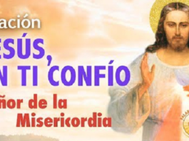 misericordia.hoy