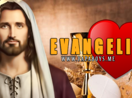 Evangelio 14 Diciembre 2019