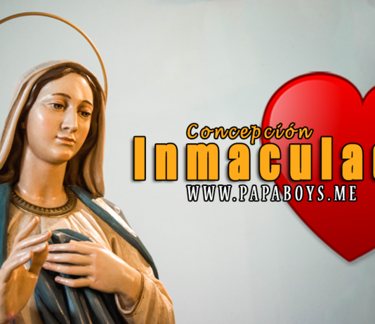 Solemnidad de la Concepción Inmaculada de la bienaventurada Virgen María