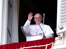 papa-francisco,Angelus