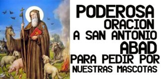 Oración a San Antonio Abad por las mascotas2