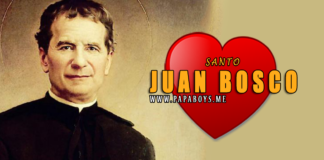 Santo Juan Bosco, Presbítero y Fundador