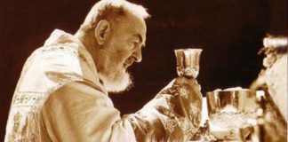 Si tienes una urgencia, no lo dudes…¡Funciona! Oración al Padre Pio3