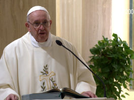 Papa Francisco 'la gran familia de aquellos que nos acompañan en el camino de la vida por un tiempo'