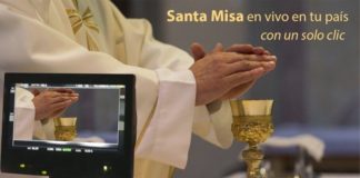 santa misa en vivo