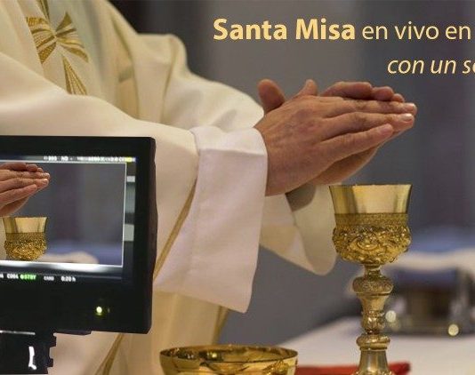 santa misa en vivo