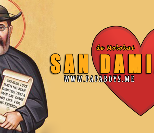 San Damián de Molokai, Sacerdote