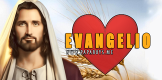 Evangelio - 12 de Junio de 2020