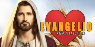 Evangelio - 23 de Junio