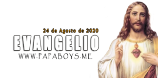 Evangelio del día, 24 de Agosto de 2020