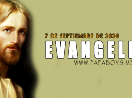 Evangelio del día, 7 de Septiembre de 2020