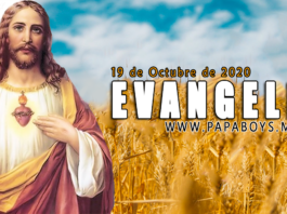 Evangelio del día, 19 de Octubre de 2020