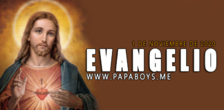 Evangelio del día 1 de Noviembre de 2020