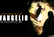 Evangelio del día, 17 de Noviembre de 2020