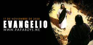 Evangelio del día, 17 de Noviembre de 2020