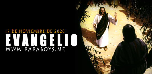 Evangelio del día, 17 de Noviembre de 2020