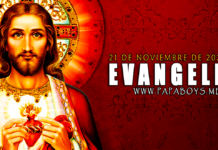 Evangelio del día, 21 de Noviembre de 2020