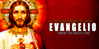 Evangelio del día, 21 de Noviembre de 2020