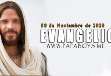 Evangelio del día, 30 de Noviembre de 2020