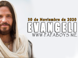 Evangelio del día, 30 de Noviembre de 2020