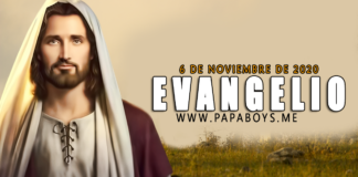 Evangelio del día, 6 de Noviembre de 2020