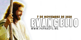 Evangelio del día, 7 de Noviembre de 2020