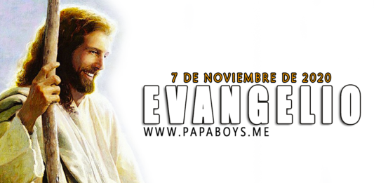 Evangelio del día, 7 de Noviembre de 2020