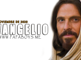 Evangelio del día, 8 de Noviemebre de 2020