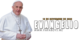 Evangelio del día, 10 de Noviembre de 2020