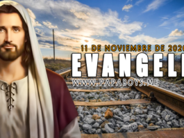 Evangelio del día, 11 de Noviembre de 2020