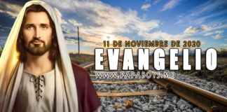 Evangelio del día, 11 de Noviembre de 2020