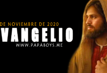 Evangelio del día, 12 de Noviembre de 2020