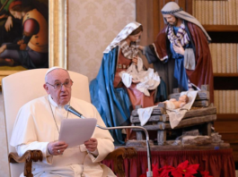 El Papa Francisco - Audiencia General