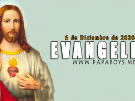 Evangelio del día, 6 de Diciembre de 2020