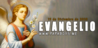 Evangelio del día, 19 de Diciembre de 2020