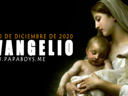 Evangelio del día, 20 de Diciembre de 2020