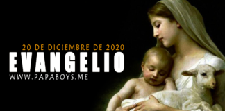 Evangelio del día, 20 de Diciembre de 2020