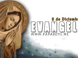 Evangelio del día, 8 de Diciembre de 2020