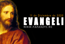 Evangelio del día, 11 de Diciembre de 2020