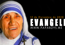 Evangelio del día, 12 de Diciembre de 2020