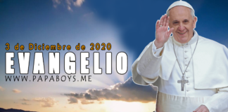 Evangelio del día, 3 de Diciembre de 2020