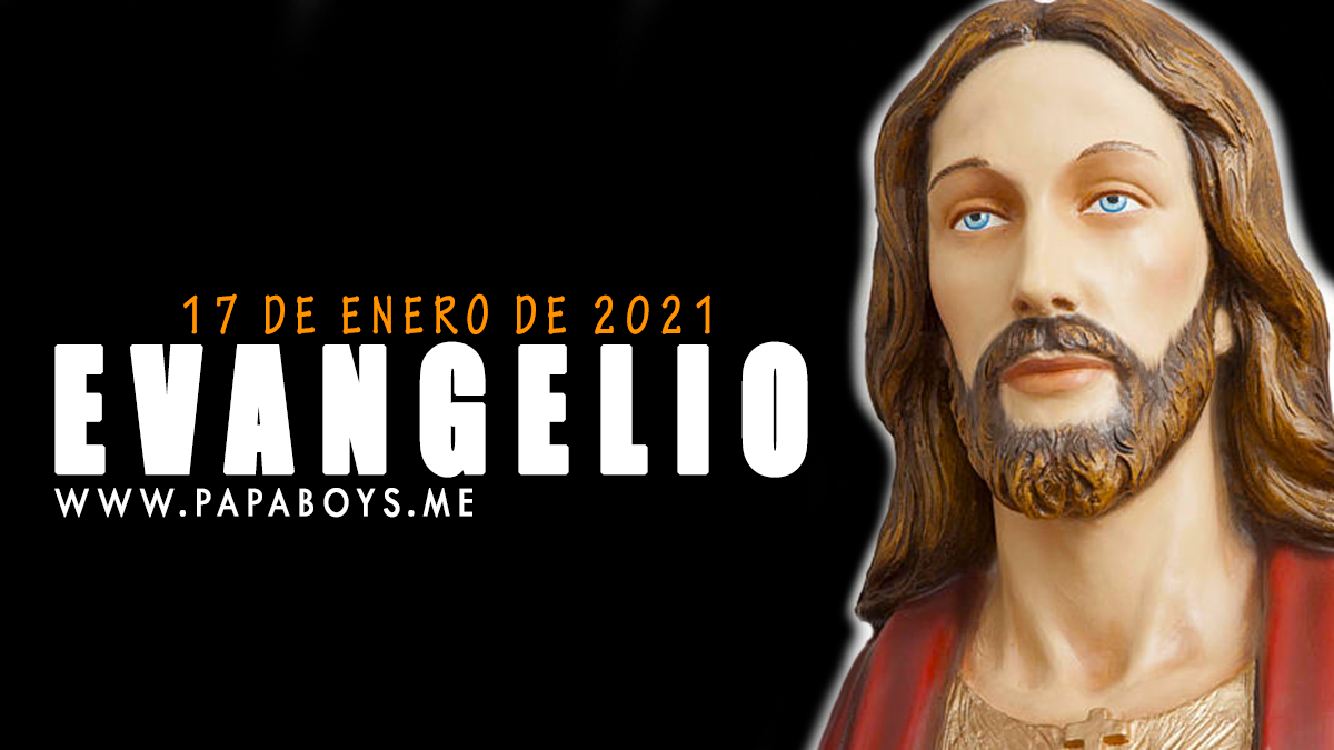 Evangelio Y Comentario De Hoy: Domingo, 17 De Enero De 2021